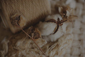 Organic Cotton Bed Linens
